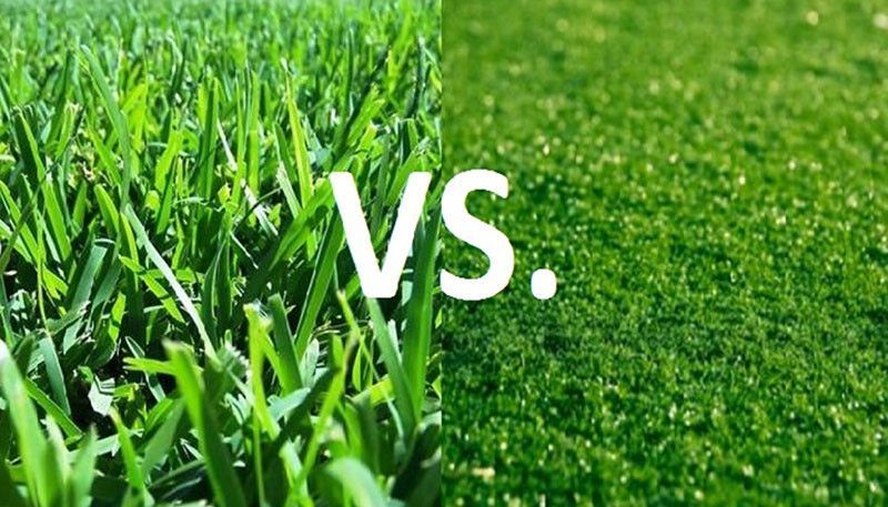 gazon vs pelouse 
